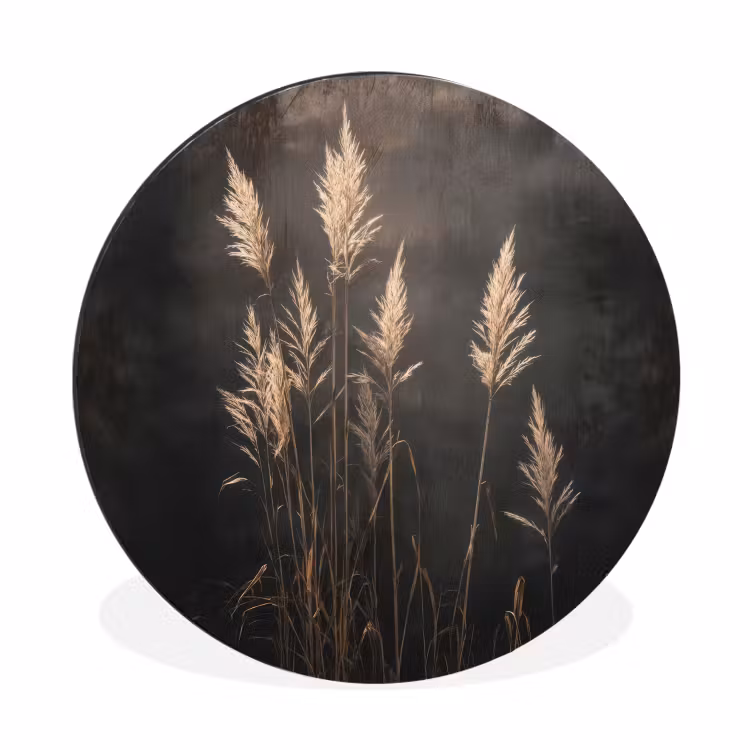 Siergras - Pluimen - Verlichting - Zwart Wandcirkel aluminium klein -3d
