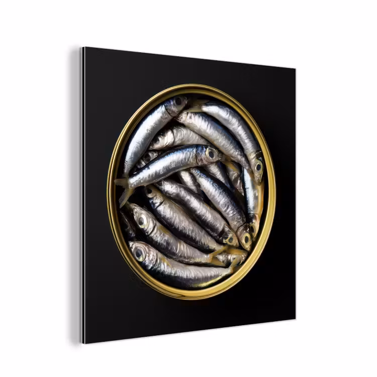 Sardines - Vissen - Rond - Zwart aluminium wit klein -3d