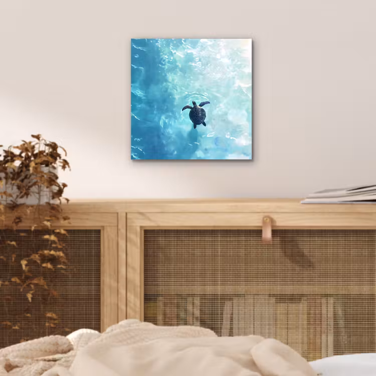 Schildpad - Zee - Blauw - Schittering aluminium wit klein -sfeer3