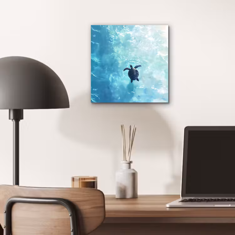 Schildpad - Zee - Blauw - Schittering aluminium wit klein -sfeer5