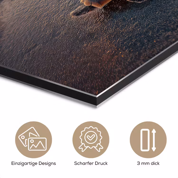 Schildpad - strand - Zonsondergang aluminium wit klein -closeup_DE