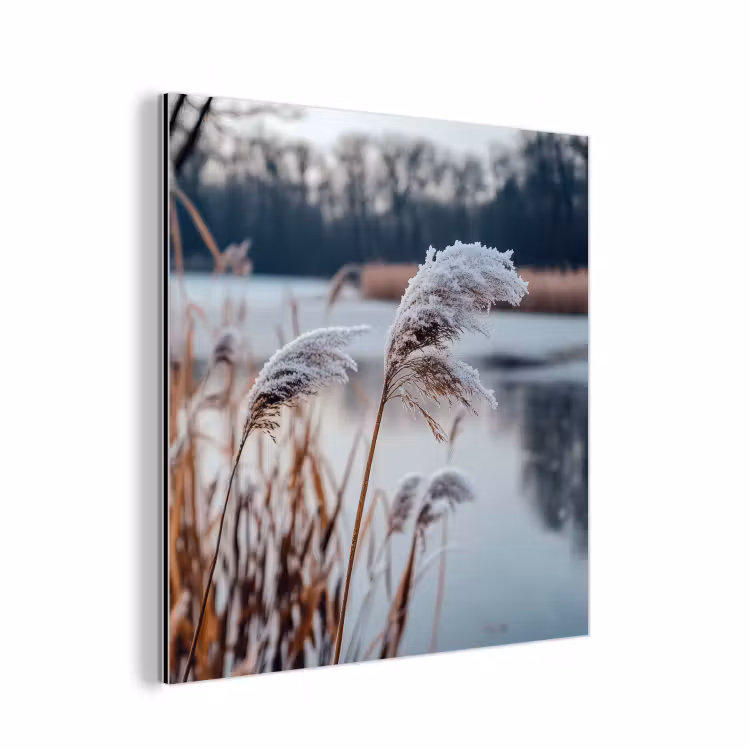Riet - Gras - Natuur - Winter - Meer aluminium wit klein -3d