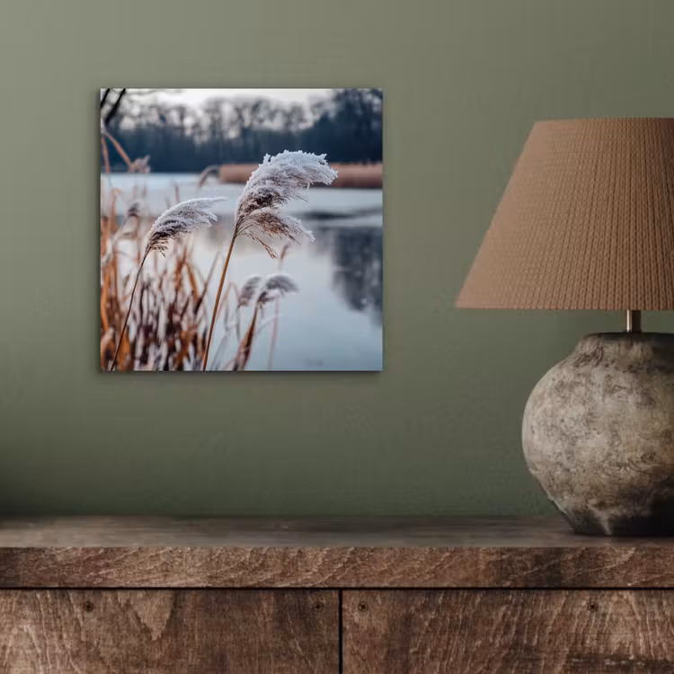 Riet - Gras - Natuur - Winter - Meer aluminium wit klein -sfeer2