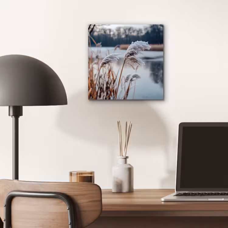 Riet - Gras - Natuur - Winter - Meer aluminium wit klein -sfeer5