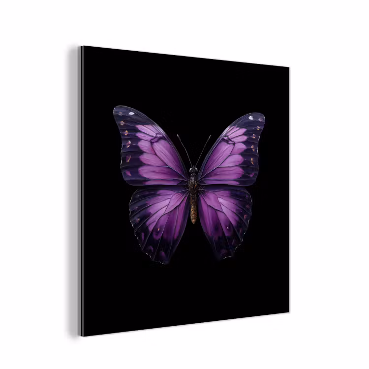 Vlinder - Paars - Levendig aluminium wit klein -3d
