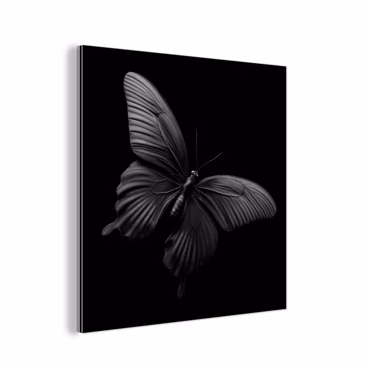 Vlinder - Zwart - Insect - Dieren aluminium wit klein -3d
