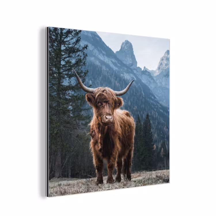 Schotse hooglander - Berg - Landschap - Bomen - Koe - Natuur aluminium wit klein -3d