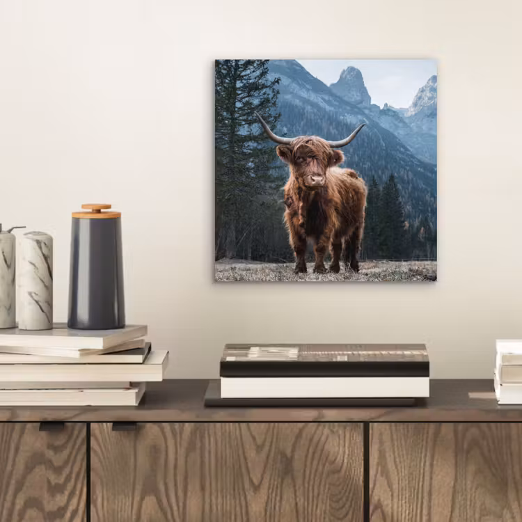 Schotse hooglander - Berg - Landschap - Bomen - Koe - Natuur aluminium wit klein -sfeer1