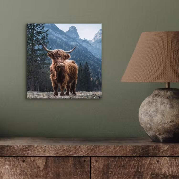 Schotse hooglander - Berg - Landschap - Bomen - Koe - Natuur aluminium wit klein -sfeer2