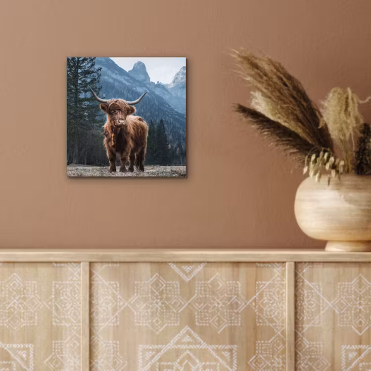 Schotse hooglander - Berg - Landschap - Bomen - Koe - Natuur aluminium wit klein -sfeer4