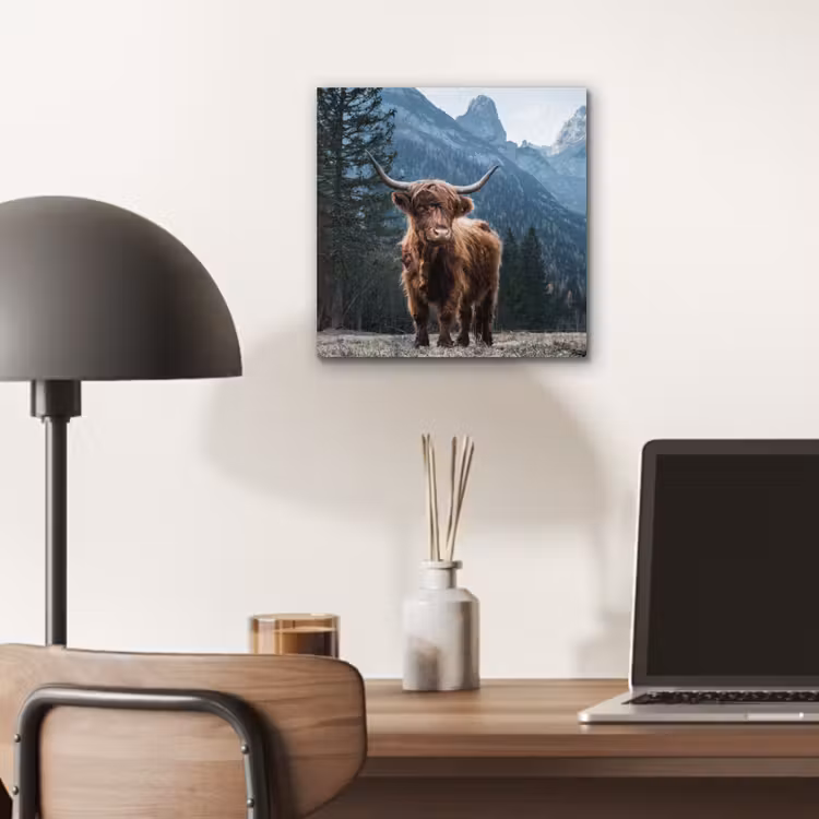 Schotse hooglander - Berg - Landschap - Bomen - Koe - Natuur aluminium wit klein -sfeer5