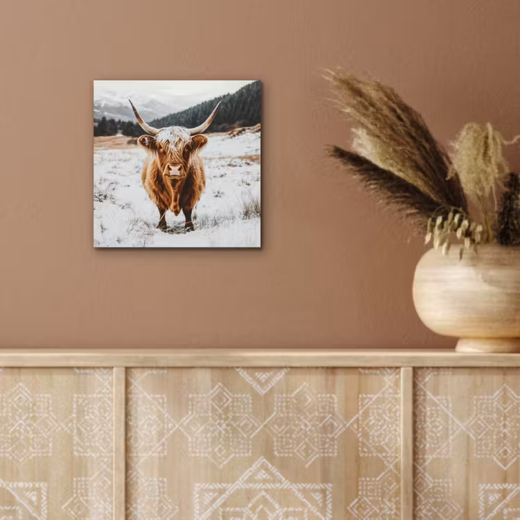 Schotse Hooglander - Landschap - Sneeuw - Bergen - Winter aluminium wit klein -sfeer4