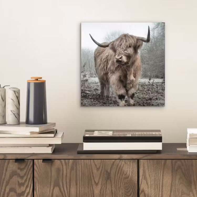 Schotse hooglander - Natuur - Herfst - Dieren - Wild - Bos aluminium wit klein -sfeer1