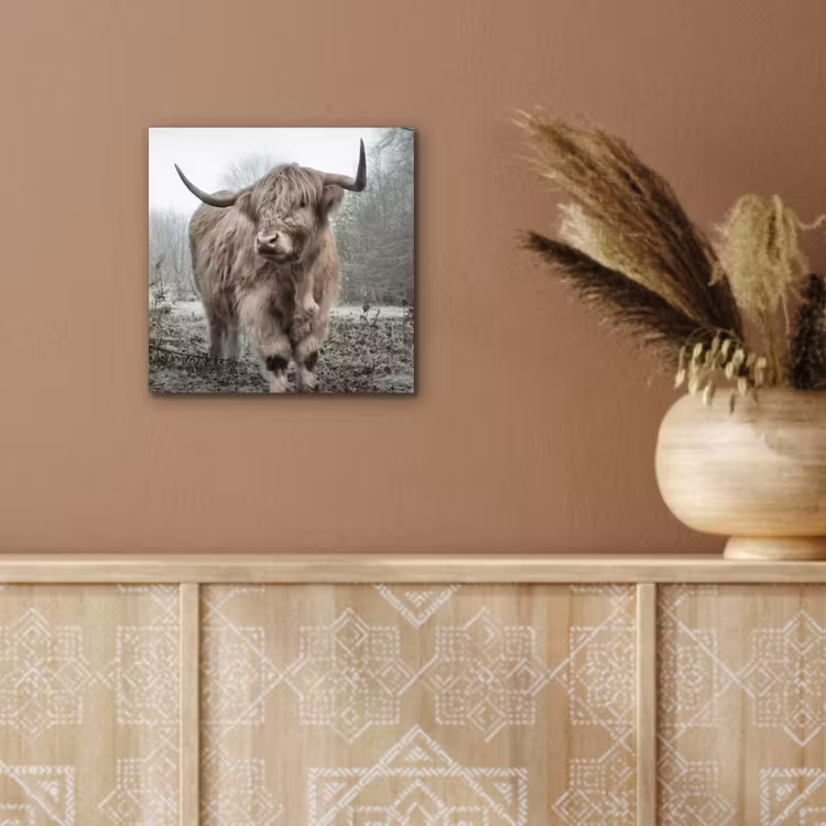 Schotse hooglander - Natuur - Herfst - Dieren - Wild - Bos aluminium wit klein -sfeer4