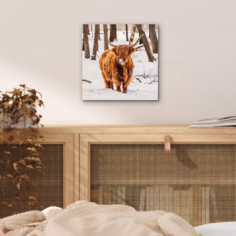 Schotse Hooglander - Sneeuw - Winter - Natuur - Dieren aluminium wit klein -sfeer3