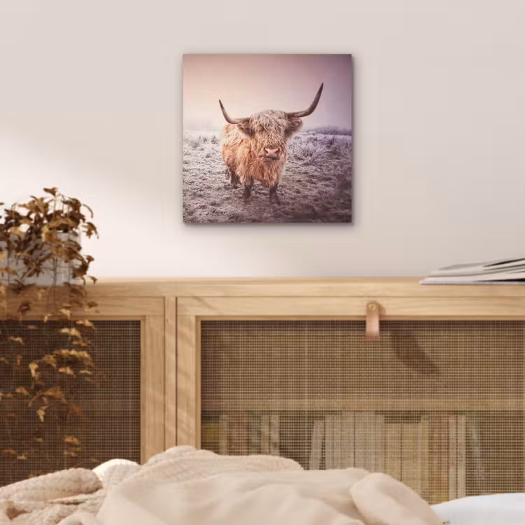 Schotse hooglanders - Licht - Lucht - Natuur aluminium wit klein -sfeer3