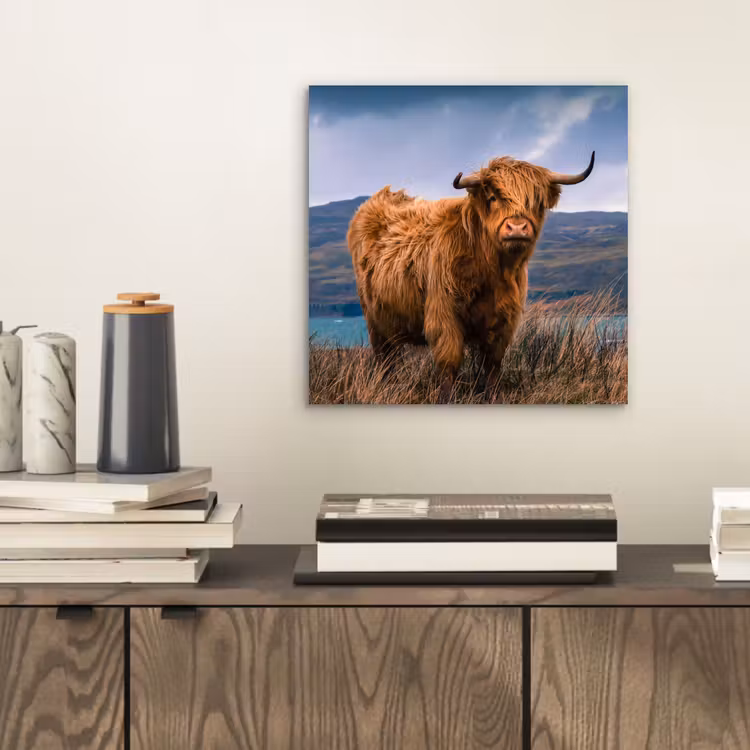 Schotse Hooglander - Berg - Water - Natuur - Koe aluminium wit klein -sfeer1