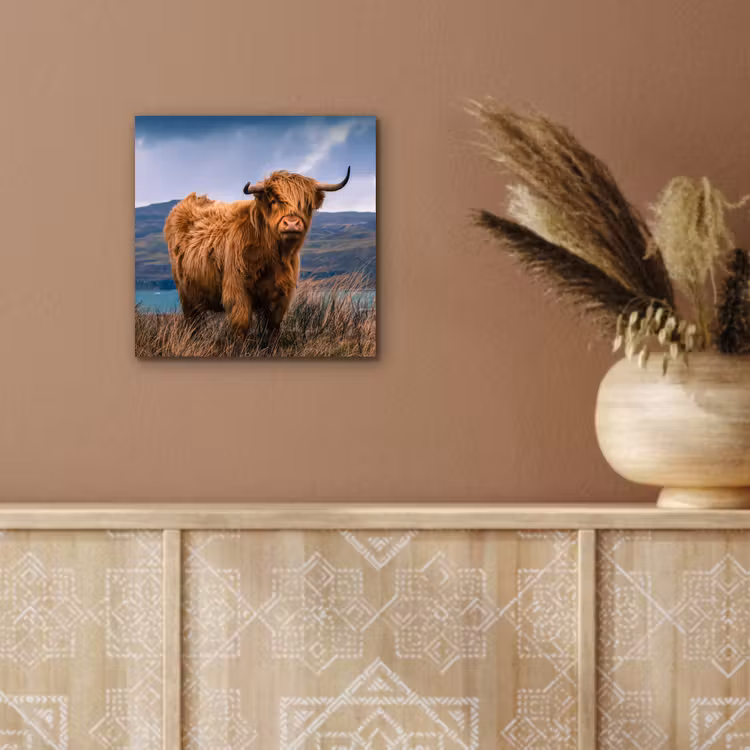 Schotse Hooglander - Berg - Water - Natuur - Koe aluminium wit klein -sfeer4