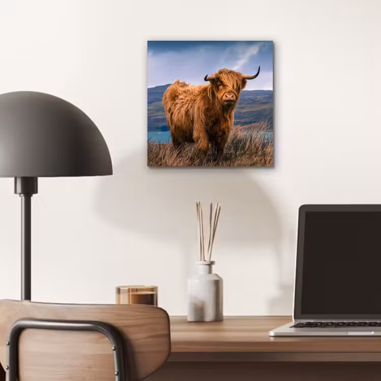 Schotse Hooglander - Berg - Water - Natuur - Koe aluminium wit klein -sfeer5