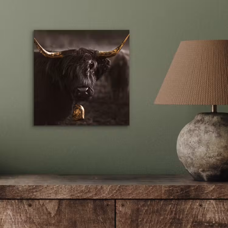 Schotse hooglander - Goud - Koebel - Hoorns - Dieren aluminium wit klein -sfeer2