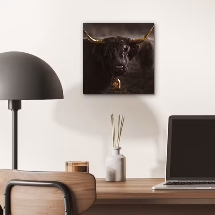 Schotse hooglander - Goud - Koebel - Hoorns - Dieren aluminium wit klein -sfeer5