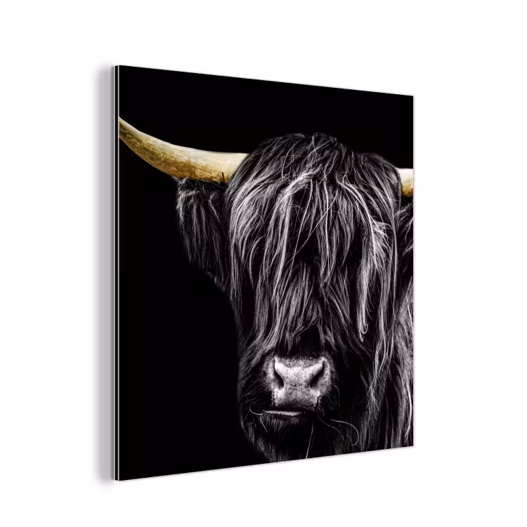 Schotse hooglander - Goud - Vacht - Dieren - Koe aluminium wit klein -3d