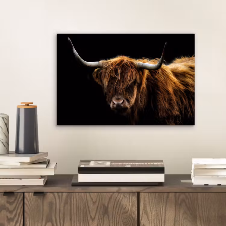 Schotse Hooglander - Horens - Zwart - Dieren - Natuur - Wild - Koe aluminium wit klein -sfeer1
