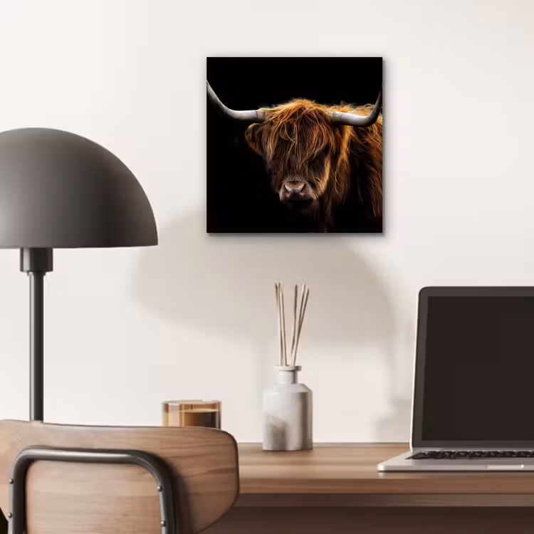 Schotse Hooglander - Horens - Zwart - Dieren - Natuur - Wild - Koe aluminium wit klein -sfeer5
