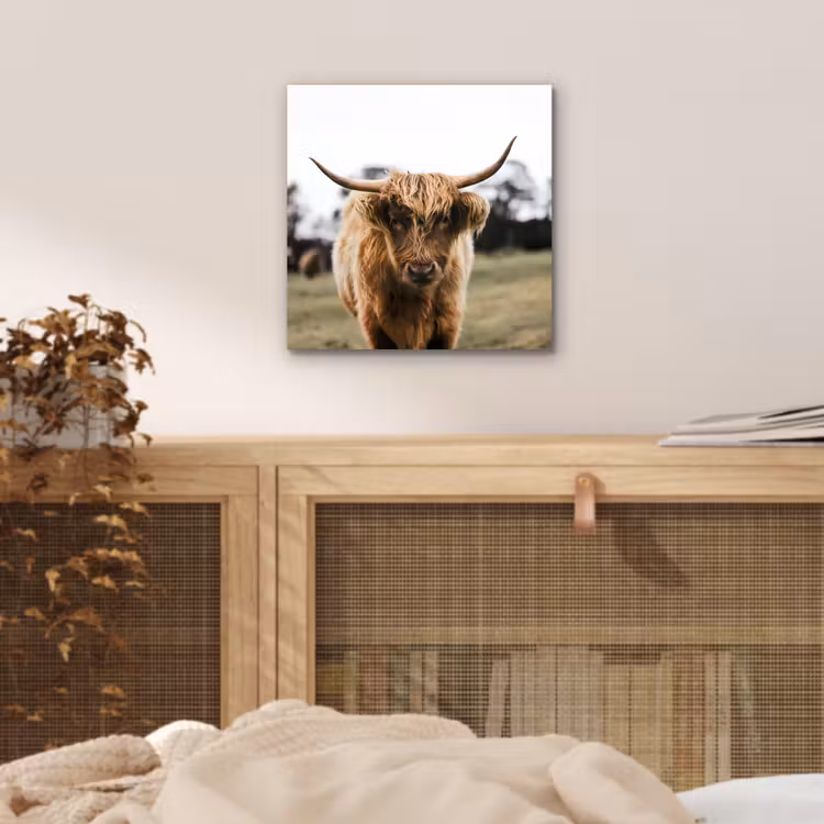 Schotse Hooglander - Koe - Gras - Dieren - Natuur aluminium wit klein -sfeer3
