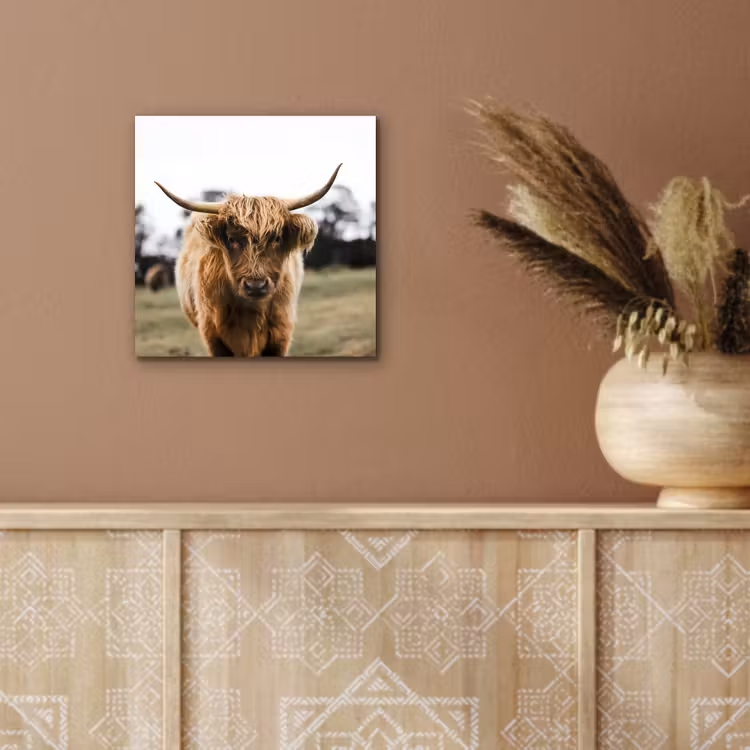 Schotse Hooglander - Koe - Gras - Dieren - Natuur aluminium wit klein -sfeer4
