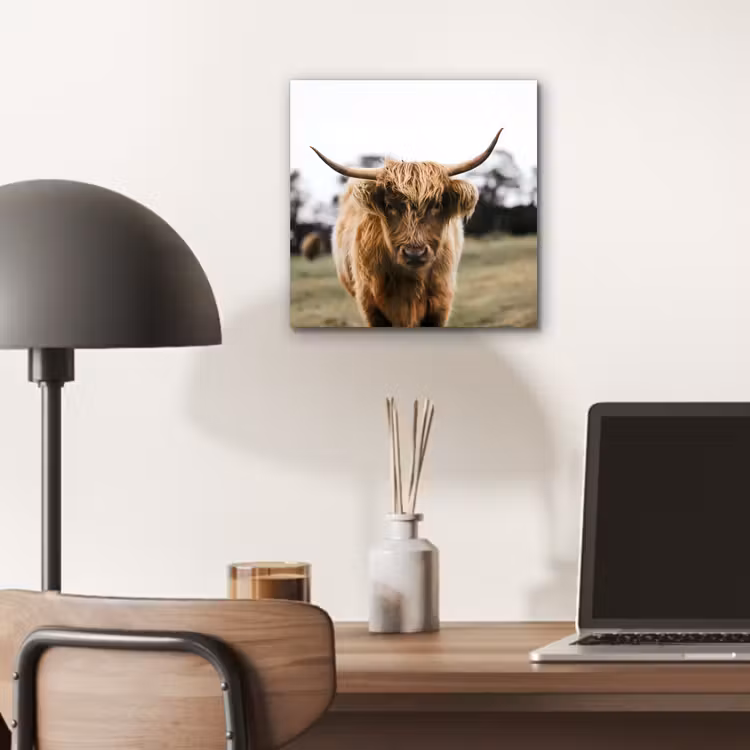 Schotse Hooglander - Koe - Gras - Dieren - Natuur aluminium wit klein -sfeer5