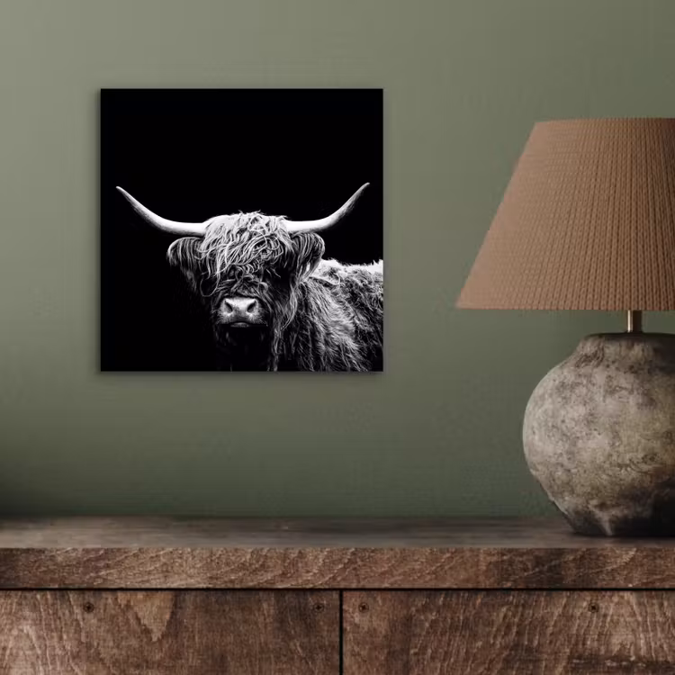Schotse Hooglander - Koe - Zwart - Wit - Dieren aluminium wit klein -sfeer2
