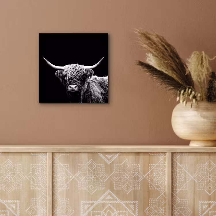 Schotse Hooglander - Koe - Zwart - Wit - Dieren aluminium wit klein -sfeer4