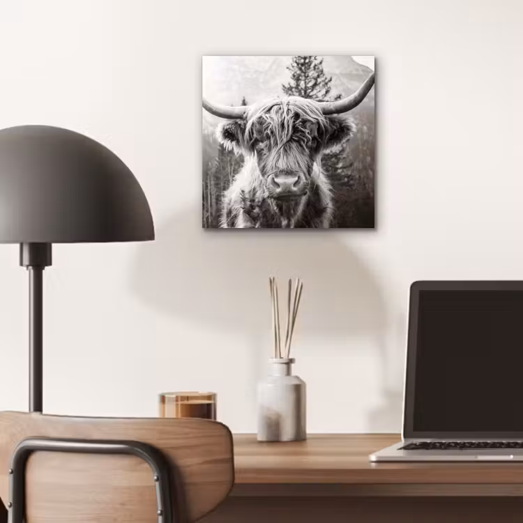 Schotse hooglander - Koe - Dieren - Zwart - Wit aluminium wit klein -sfeer5