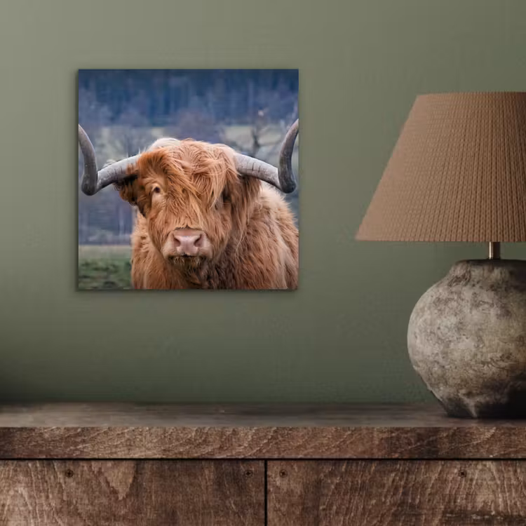 Schotse Hooglander - Koeienkop - Landschap - Natuur - Koe aluminium wit klein -sfeer2