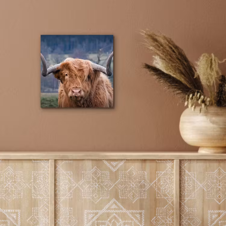 Schotse Hooglander - Koeienkop - Landschap - Natuur - Koe aluminium wit klein -sfeer4