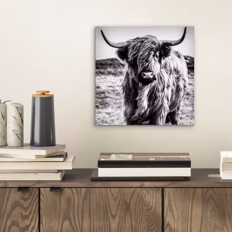 Schotse hooglander - Natuur - Koe - Zwart - Wit aluminium wit klein -sfeer1