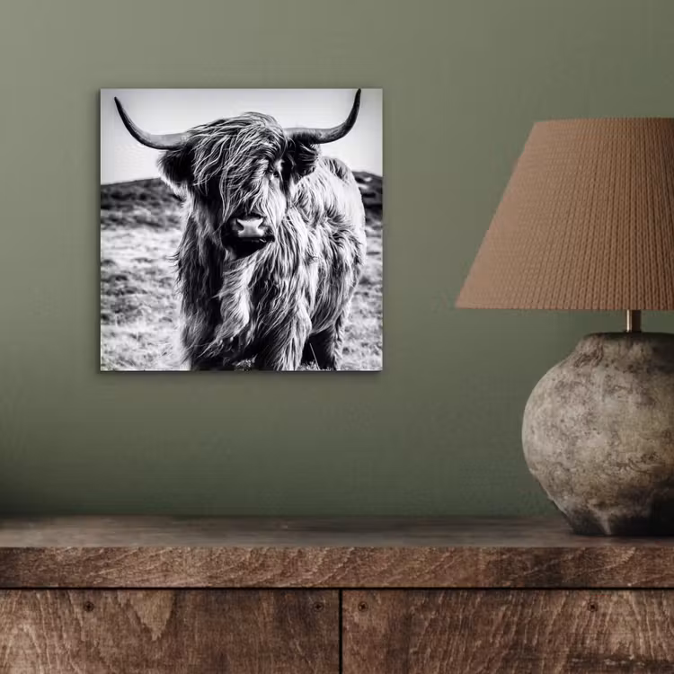 Schotse hooglander - Natuur - Koe - Zwart - Wit aluminium wit klein -sfeer2