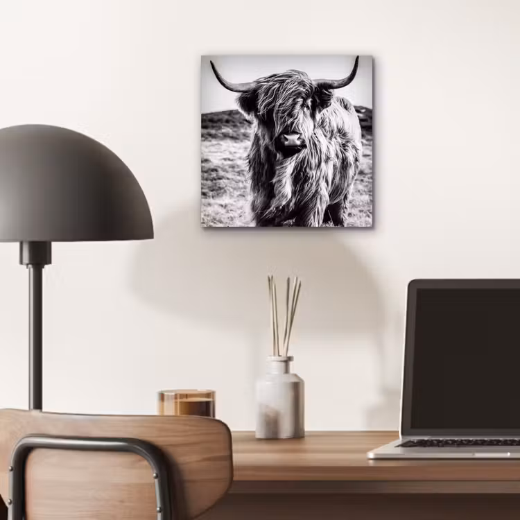 Schotse hooglander - Natuur - Koe - Zwart - Wit aluminium wit klein -sfeer5
