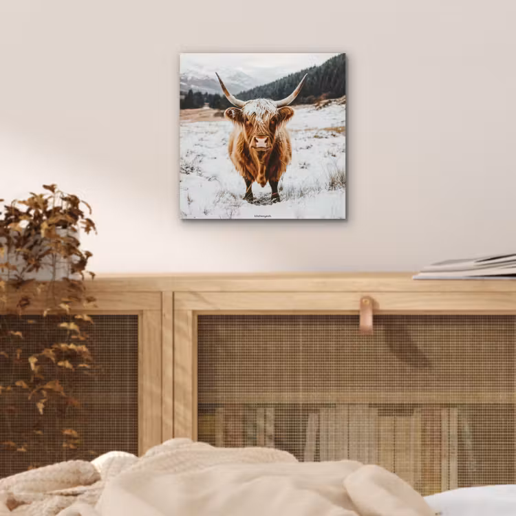 Schotse Hooglander - Sneeuw - Winter - Dieren aluminium wit klein -sfeer3