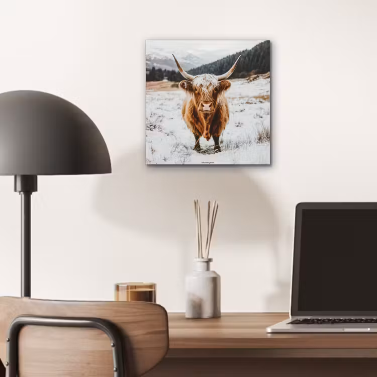 Schotse Hooglander - Sneeuw - Winter - Dieren aluminium wit klein -sfeer5