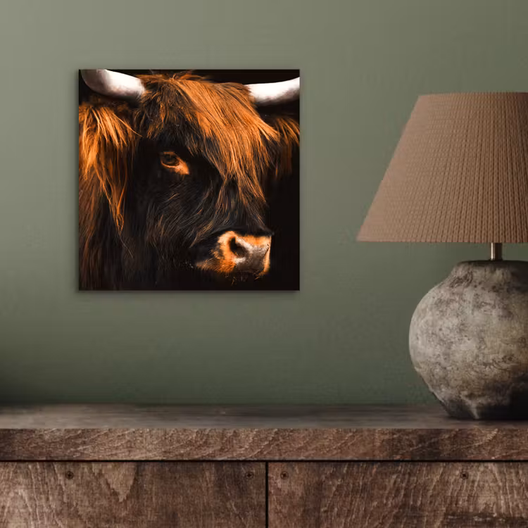 Schotse hooglander - Zwart - Koe - Hoorn - Dieren aluminium wit klein -sfeer2