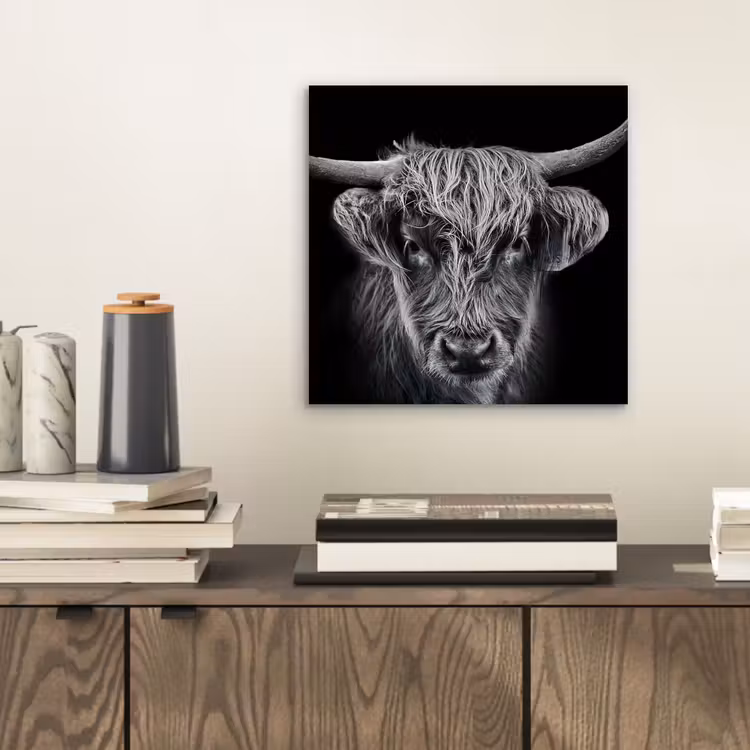 Schotse hooglander - Zwart - Koe - Dieren aluminium wit klein -sfeer1
