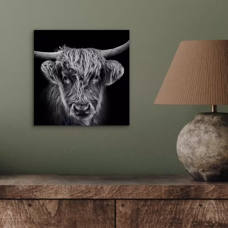 Schotse hooglander - Zwart - Koe - Dieren aluminium wit klein -sfeer2