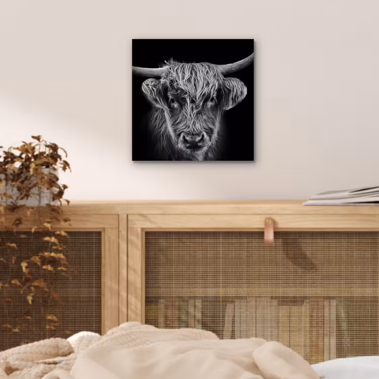 Schotse hooglander - Zwart - Koe - Dieren aluminium wit klein -sfeer3