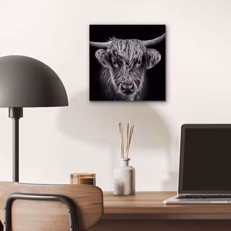 Schotse hooglander - Zwart - Koe - Dieren aluminium wit klein -sfeer5