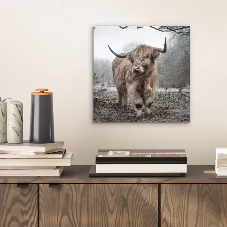 Schotse Hooglander - Bos - Mist - Koe - Dieren - Natuur aluminium wit klein -sfeer1