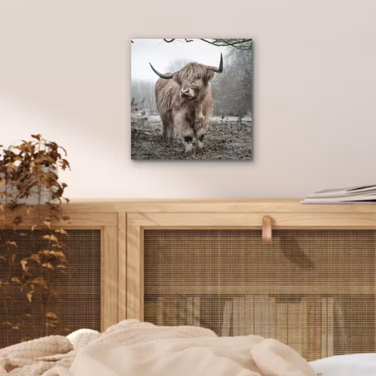 Schotse Hooglander - Bos - Mist - Koe - Dieren - Natuur aluminium wit klein -sfeer3