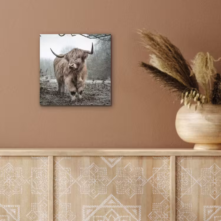 Schotse Hooglander - Bos - Mist - Koe - Dieren - Natuur aluminium wit klein -sfeer4