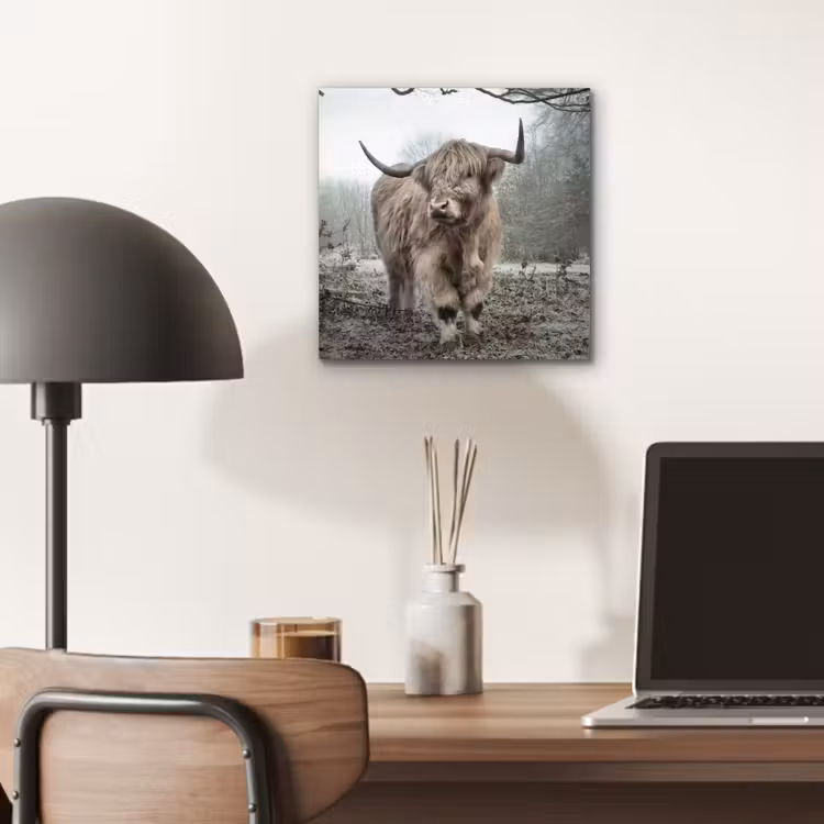 Schotse Hooglander - Bos - Mist - Koe - Dieren - Natuur aluminium wit klein -sfeer5